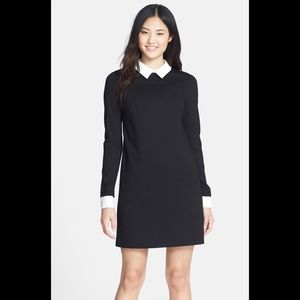 NWT Cynthia Steffe Collared Ponte Knit Shift Dress